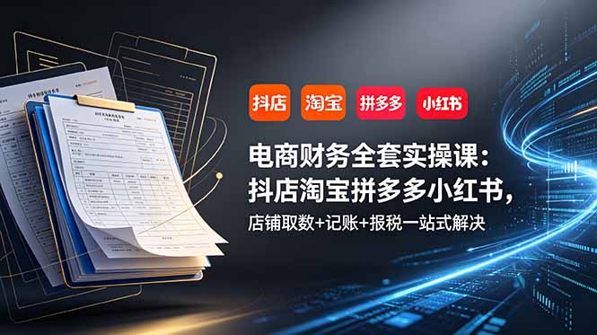 电商财务全套实操课:抖店淘宝拼多多小红书,店铺取数+记账+报税一站式解决-雄诗网络资源社区
