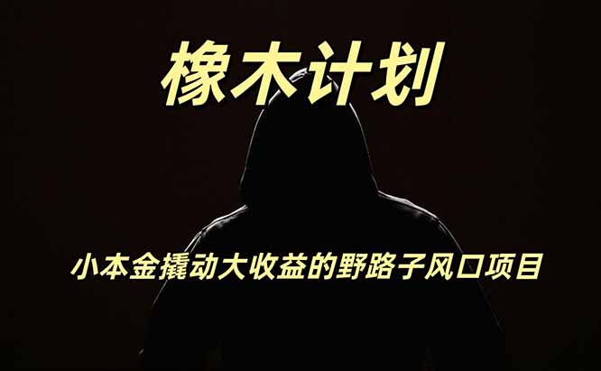 橡木计划,小投入撬动高回报的风口野路子项目,一天投入2小时左右-雄诗网络资源社区
