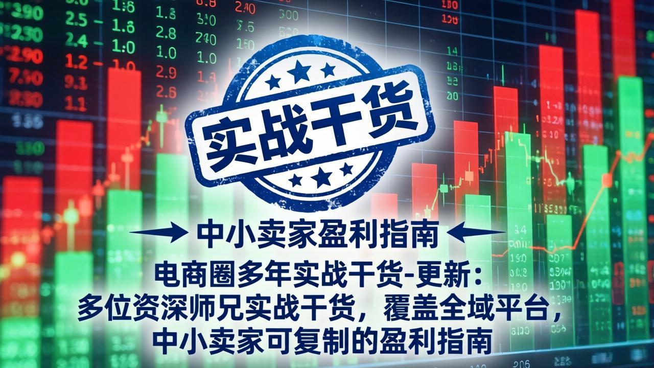 电商圈多年实战干货-更新2026：多位资深师兄实战干货/覆盖全域平台，中小卖家可复制的盈利指南-雄诗网络资源社区